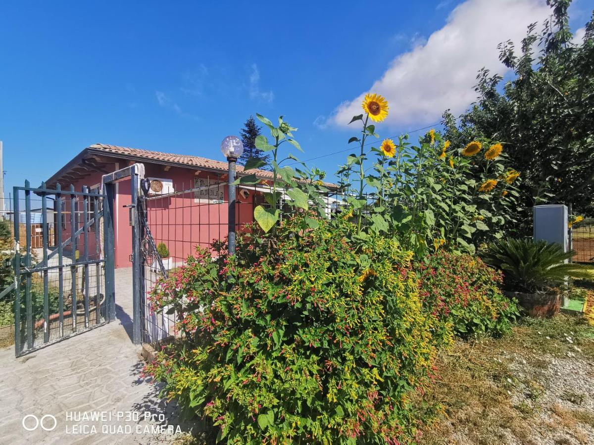 Bed And Breakfast "Anna" Bagnara Calabra Exterior photo